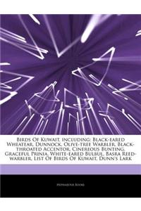Articles on Birds of Kuwait, Including