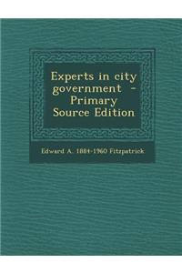 Experts in City Government