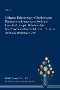 Molecular Epidemiology of Erythromycin Resistance in Streptococcus Bovis and Lancefield Group G Beta-Hemolytic Streptococci and Horizontal Gene Transfer of Antibiotic Resistance Genes