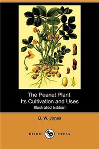 Peanut Plant