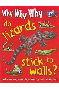 Why Why Why Do Lizards Stick to Walls?