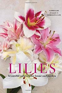 Lilies