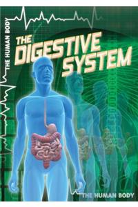 Digestive System