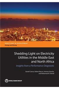 Shedding Light on Electricity Utilities in the Middle East and North Africa