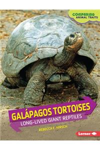 Galápagos Tortoises: Long-Lived Giant Reptiles