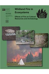 Wildand Fire in Ecosystems