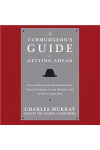 Curmudgeon's Guide to Getting Ahead