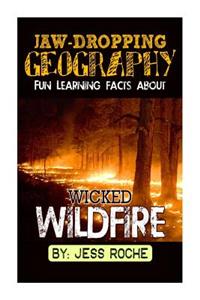 Jaw-Dropping Geography: Fun Learning Facts about Wicked Wildfires: Illustrated Fun Learning for Kids