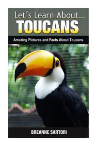 Toucans: Amazing Pictures and Facts about Toucans