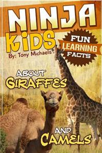 Fun Learning Facts about Giraffes and Camels