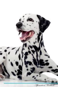 Dalmatian Affirmations Workbook Dalmatian Presents: Positive and Loving Affirmations Workbook. Includes: Mentoring Questions, Guidance, Supporting You.: Positive and Loving Affirmations Workbook. Includes: Mentoring Questions, Guidance, Supporting You.