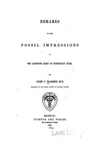 Remarks on Some Fossil Impressions in the Sandstone Rocks of Connecticut River