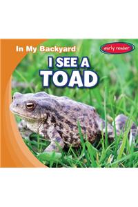 I See a Toad