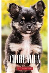Chihuahua Pocket Monthly Planner 2017