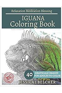 Iguana Coloring Book for Adults