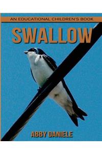 Swallow! An Educational Children's Book about Swallow with Fun Facts & Photos