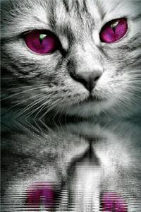 Kitty Cat with Purple Eyes Journal