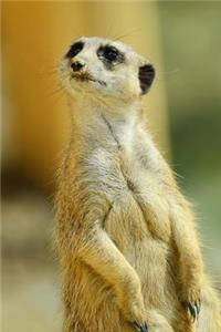Meerkat Standing Tall Journal