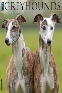 Just Greyhounds 2024 12 X 12 Wall Calendar