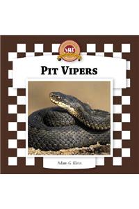 Pit Vipers