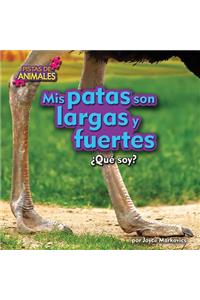 MIS Patas Son Largas Y Fuertes (My Legs Are Long and Strong)