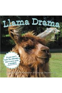 Llama Drama 2019: 16-Month Calendar - September 2018 Through December 2019