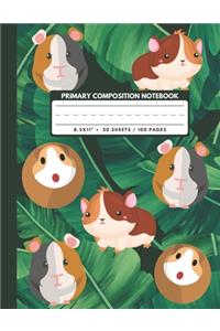 Primary Composition Notebook