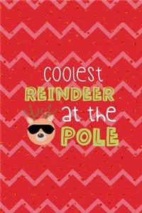 Coolest Reindeer At The Pole