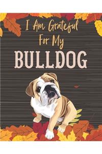 I Am Grateful For My Bulldog
