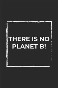 There is no Planet B