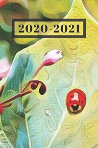Red and Black Ladybug on Green Leaf Nature Lover's Dated Weekly 2 year Calendar Planner