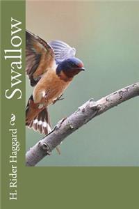 Swallow