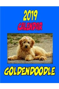 2019 Calendar Golden Doodle
