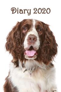 Diary: Dog: Springer Spaniel - Bespoke, Personalised Desk Diary. Contact Us If You Would Like Your Own Image, Name or Other Text on a Book