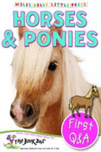 First Q&A Horses & Ponies