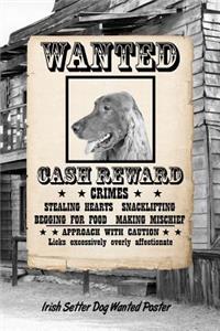 Irish Setter Dog Wanted Poster