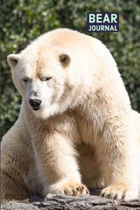 Bear Journal