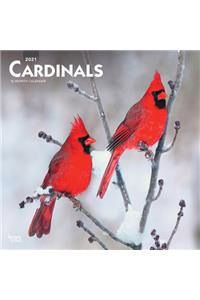 Cardinals 2021 Square