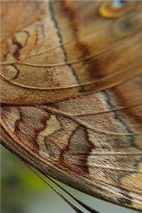 Butterfly Journal