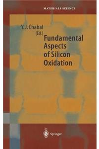 Fundamental Aspects of Silicon Oxidation