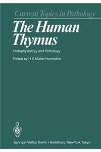 The Human Thymus