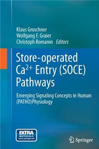 Store-operated Ca2+ entry (SOCE) pathways