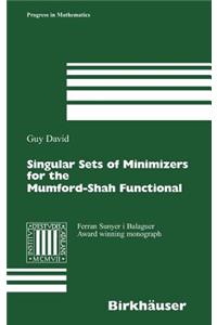 Singular Sets of Minimizers for the Mumford-Shah Functional