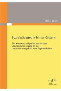 Sozialpädagogik hinter Gittern: Ein Konzept aufgrund der ersten Längsschnittstudie in der Untersuchungshaft von Jugendlichen