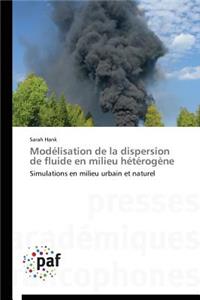 Modélisation de la Dispersion de Fluide En Milieu Hétérogène