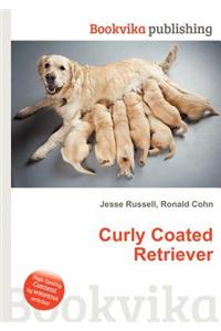 Curly Coated Retriever