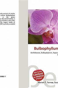 Bulbophyllum Globulus