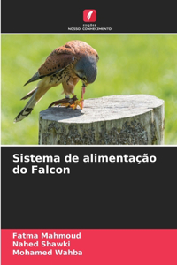 Sistema de alimentação do Falcon