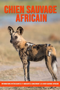 Informations Intéressantes et Amusantes Concernant les Chien Sauvage Africain