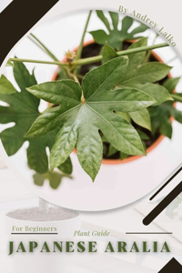 Japanese Aralia: Plant Guide